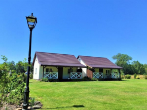 Luxurious holiday homes with terrace in Kołczewo